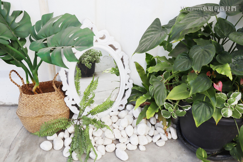 2021嘉義新景點 耍廢特區 (15).JPG