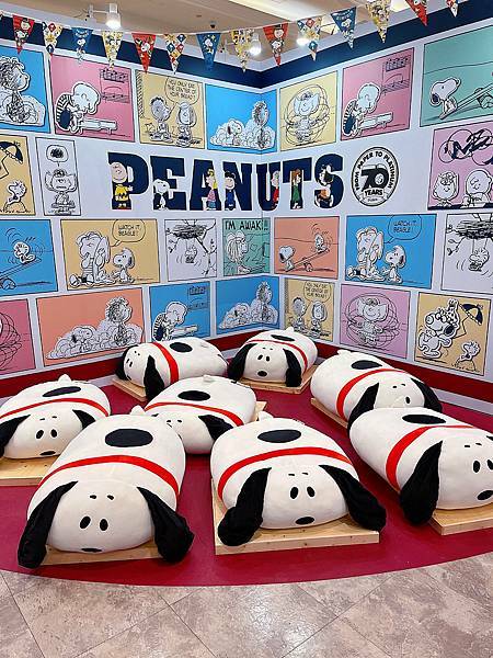 相片 2021-1-9 上午12 38 14