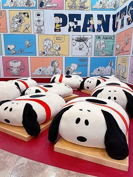 相片 2021-1-9 上午12 38 29