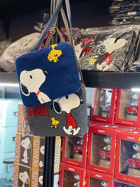 相片 2021-1-9 上午12 40 37