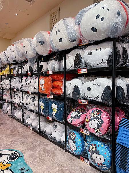 相片 2021-1-9 上午12 40 19