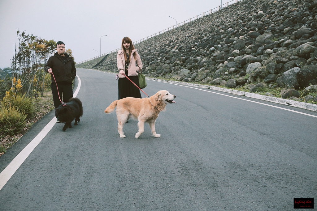 石門水庫的溜雙狗任務 石門水庫的溜雙狗任務