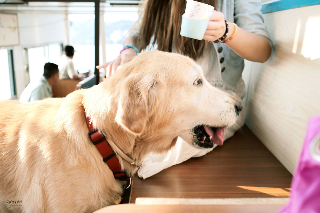 那個從枕頭山變成的薑母島