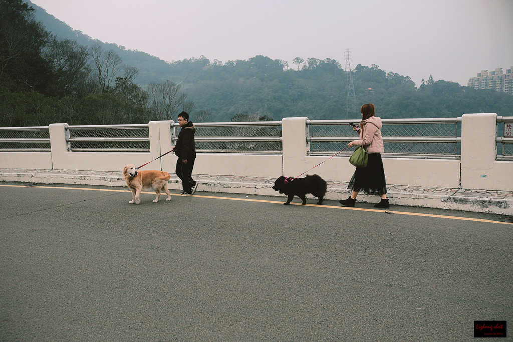 石門水庫的溜雙狗任務
