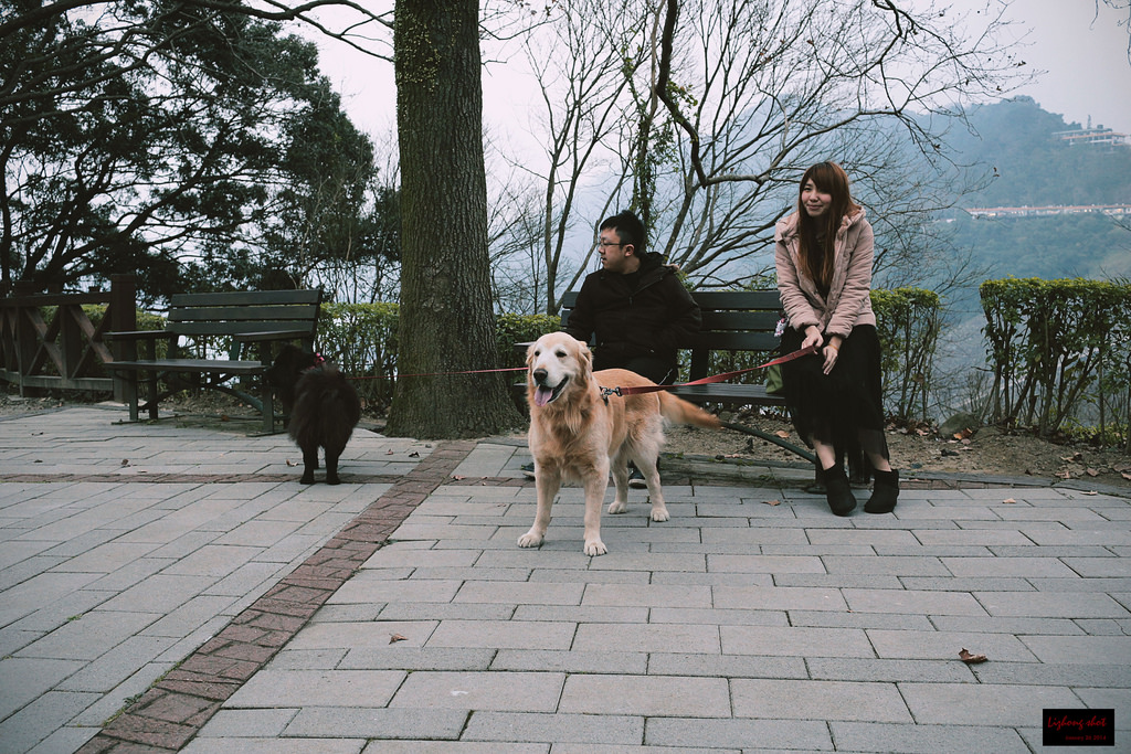 石門水庫的溜雙狗任務 石門水庫的溜雙狗任務