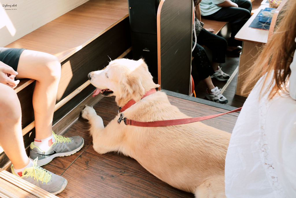 那個從枕頭山變成的薑母島