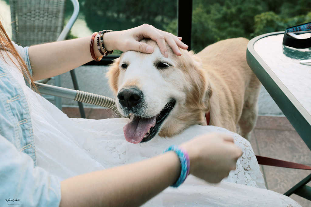 那個從枕頭山變成的薑母島