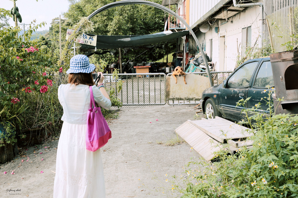 那個從枕頭山變成的薑母島