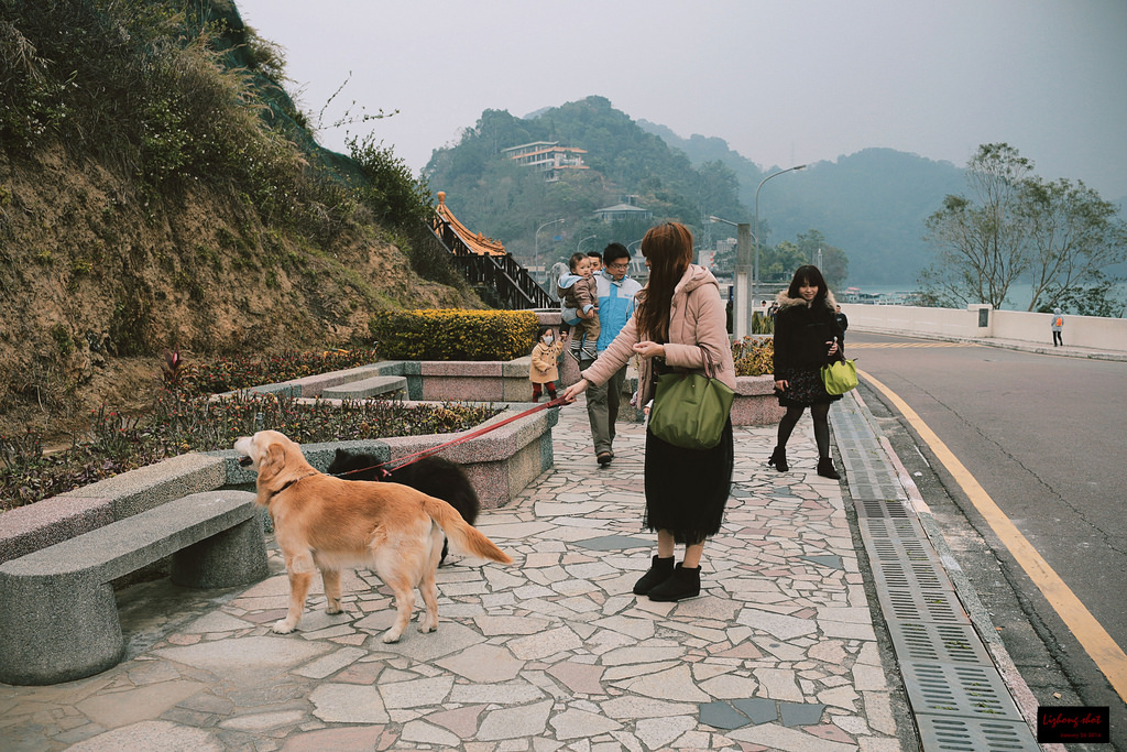 石門水庫的溜雙狗任務 石門水庫的溜雙狗任務