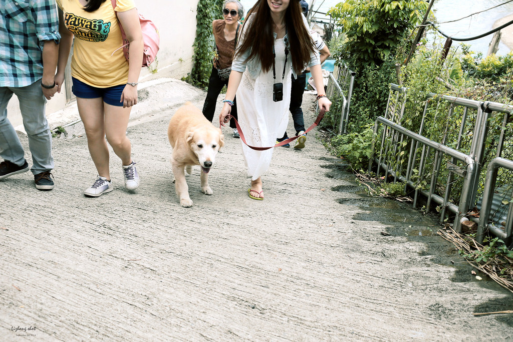 那個從枕頭山變成的薑母島