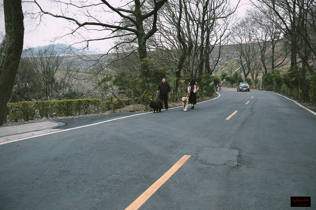 石門水庫的溜雙狗任務