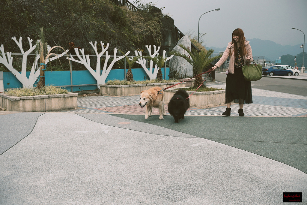 石門水庫的溜雙狗任務 石門水庫的溜雙狗任務