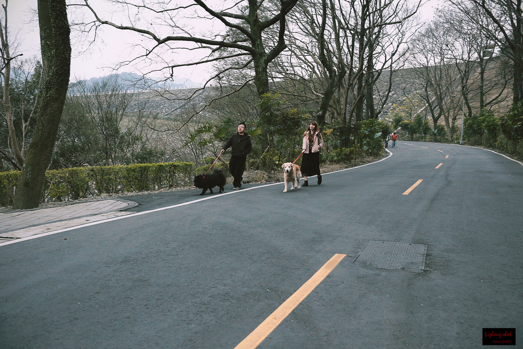 石門水庫的溜雙狗任務 石門水庫的溜雙狗任務