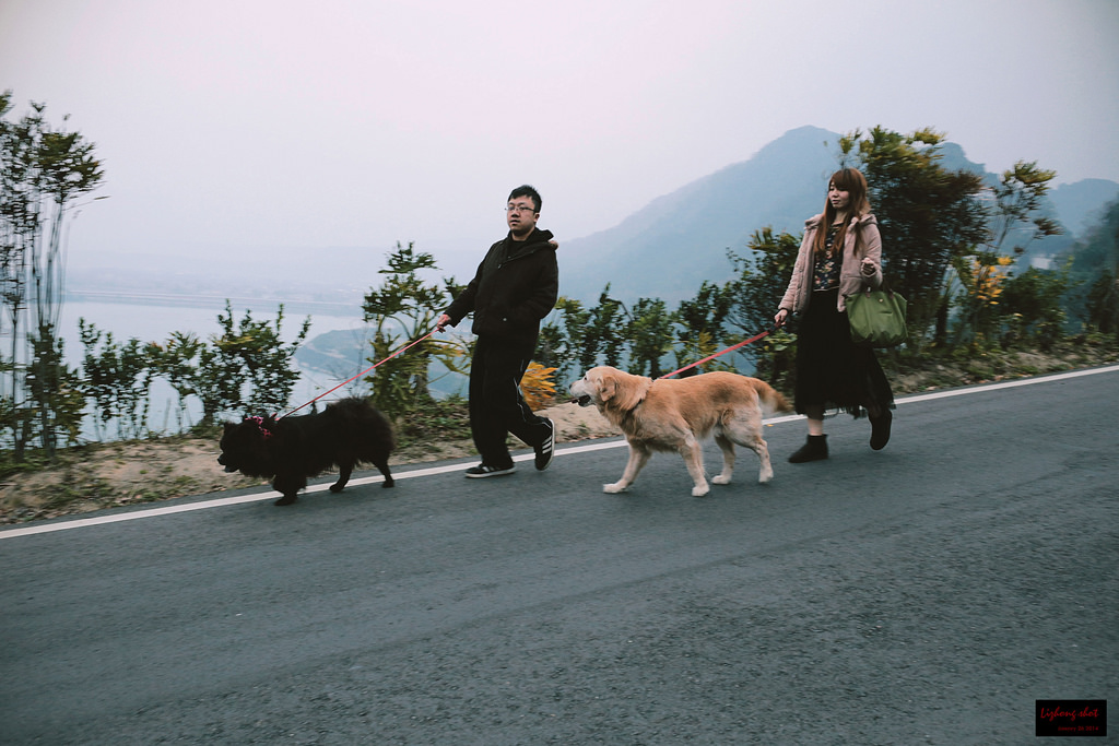 石門水庫的溜雙狗任務 石門水庫的溜雙狗任務