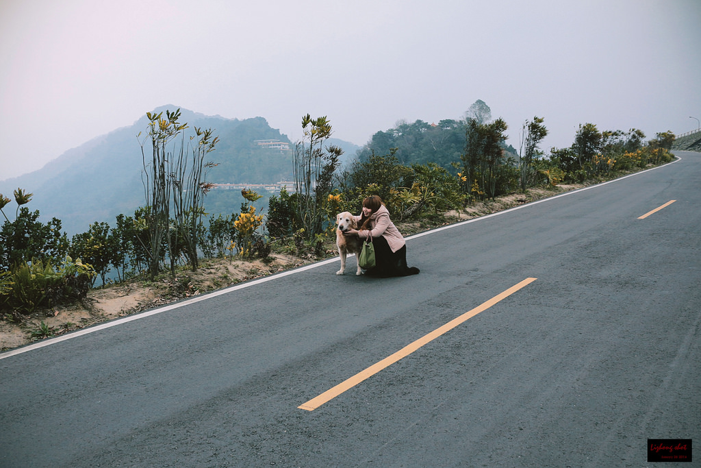 石門水庫的溜雙狗任務 石門水庫的溜雙狗任務