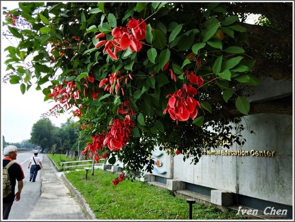石門水庫風景區:《桃園景點》2018.08.12跟著「晴心分享」 群組的步划,悠活在『石門水庫』風景區