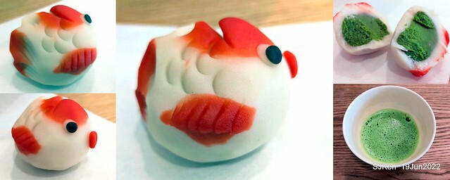 Matcha One 齊東店 Japanese style dessert & drink store, Taipei, Taiwan, SJKen, Jun 19, 2022.