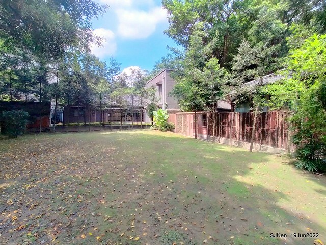 Matcha One 齊東店 Japanese style dessert & drink store, Taipei, Taiwan, SJKen, Jun 19, 2022.