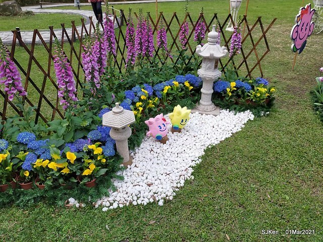 「2021士林官邸鬱金香展」(2021 Shilin Residence Tulip Show), Feb 25 ~ Mar 7, Taipei, Taiwan,SJKen, Mar 1,2021.