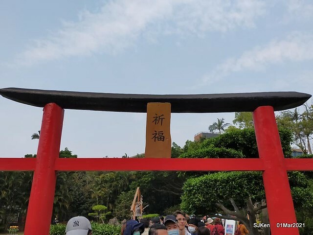 「2021士林官邸鬱金香展」(2021 Shilin Residence Tulip Show), Feb 25 ~ Mar 7, Taipei, Taiwan,SJKen, Mar 1,2021.