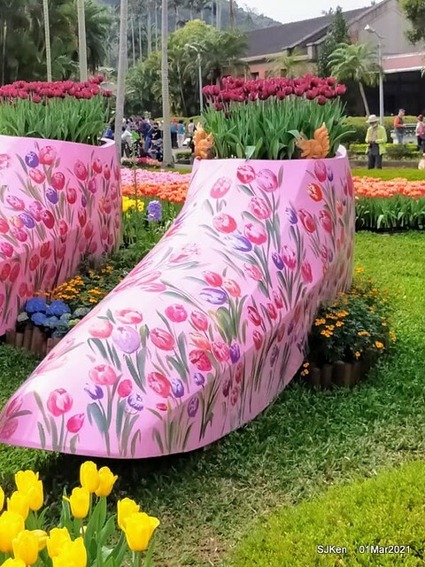 「2021士林官邸鬱金香展」(2021 Shilin Residence Tulip Show), Feb 25 ~ Mar 7, Taipei, Taiwan,SJKen, Mar 1,2021.