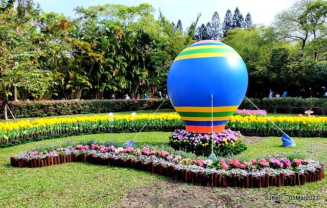 「2021士林官邸鬱金香展」(2021 Shilin Residence Tulip Show), Feb 25 ~ Mar 7, Taipei, Taiwan,SJKen, Mar 1,2021.