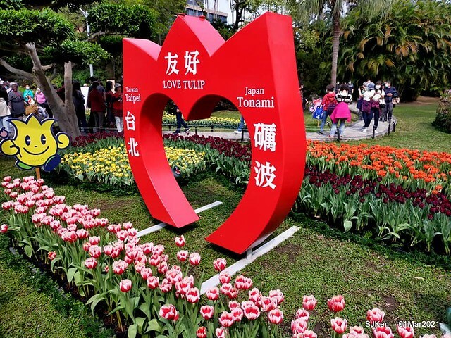 「2021士林官邸鬱金香展」(2021 Shilin Residence Tulip Show), Feb 25 ~ Mar 7, Taipei, Taiwan,SJKen, Mar 1,2021.