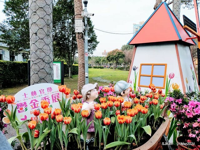 「2021士林官邸鬱金香展」(2021 Shilin Residence Tulip Show), Feb 25 ~ Mar 7, Taipei, Taiwan,SJKen, Mar 1,2021.