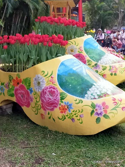 「2021士林官邸鬱金香展」(2021 Shilin Residence Tulip Show), Feb 25 ~ Mar 7, Taipei, Taiwan,SJKen, Mar 1,2021.