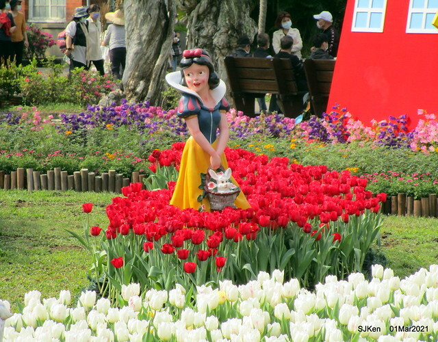 「2021士林官邸鬱金香展」(2021 Shilin Residence Tulip Show), Feb 25 ~ Mar 7, Taipei, Taiwan,SJKen, Mar 1,2021.