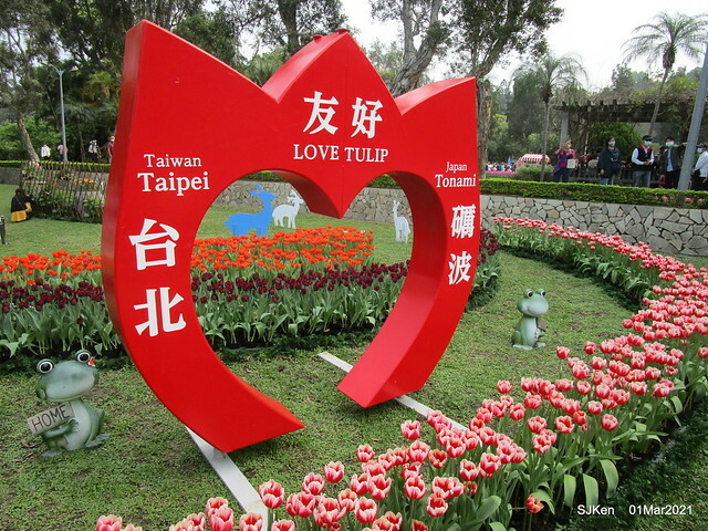 「2021士林官邸鬱金香展」(2021 Shilin Residence Tulip Show), Feb 25 ~ Mar 7, Taipei, Taiwan,SJKen, Mar 1,2021.