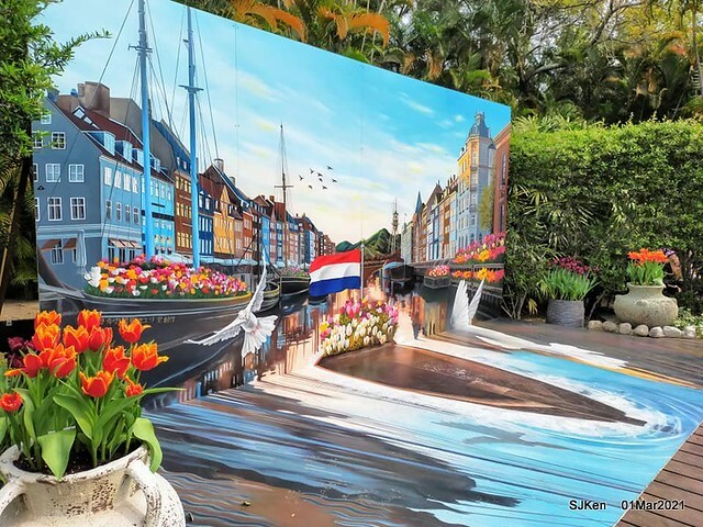 「2021士林官邸鬱金香展」(2021 Shilin Residence Tulip Show), Feb 25 ~ Mar 7, Taipei, Taiwan,SJKen, Mar 1,2021.