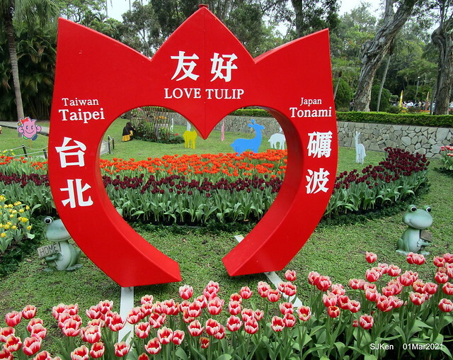 「2021士林官邸鬱金香展」(2021 Shilin Residence Tulip Show), Feb 25 ~ Mar 7, Taipei, Taiwan,SJKen, Mar 1,2021.