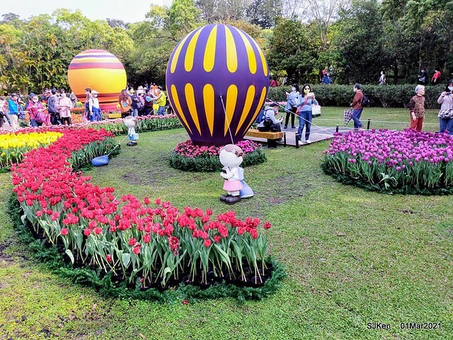 「2021士林官邸鬱金香展」(2021 Shilin Residence Tulip Show), Feb 25 ~ Mar 7, Taipei, Taiwan,SJKen, Mar 1,2021.