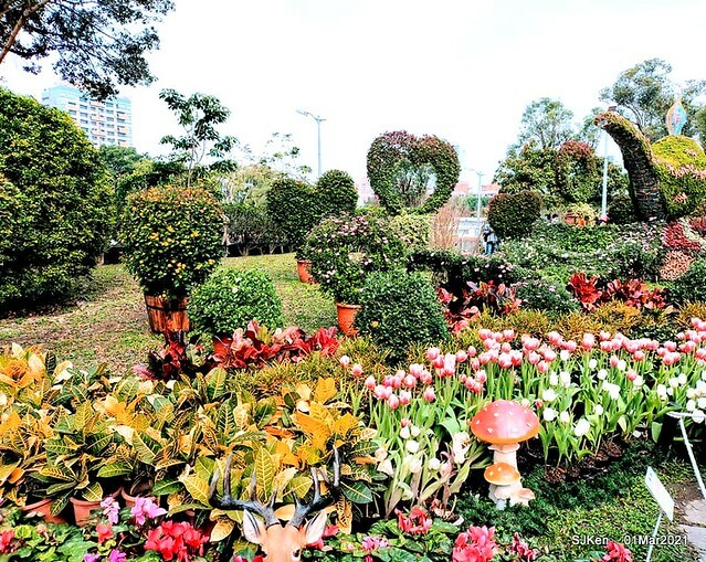 「2021士林官邸鬱金香展」(2021 Shilin Residence Tulip Show), Feb 25 ~ Mar 7, Taipei, Taiwan,SJKen, Mar 1,2021.