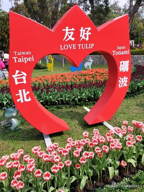 「2021士林官邸鬱金香展」(2021 Shilin Residence Tulip Show), Feb 25 ~ Mar 7, Taipei, Taiwan,SJKen, Mar 1,2021.