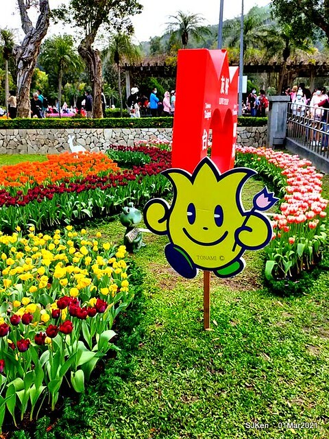 「2021士林官邸鬱金香展」(2021 Shilin Residence Tulip Show), Feb 25 ~ Mar 7, Taipei, Taiwan,SJKen, Mar 1,2021.