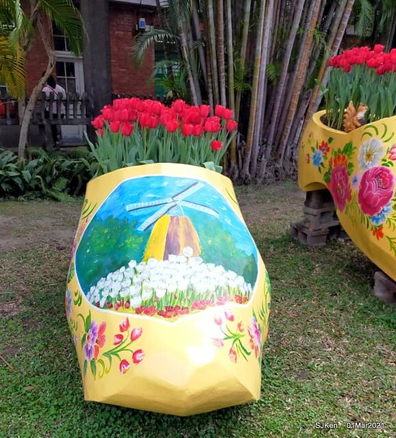 「2021士林官邸鬱金香展」(2021 Shilin Residence Tulip Show), Feb 25 ~ Mar 7, Taipei, Taiwan,SJKen, Mar 1,2021.