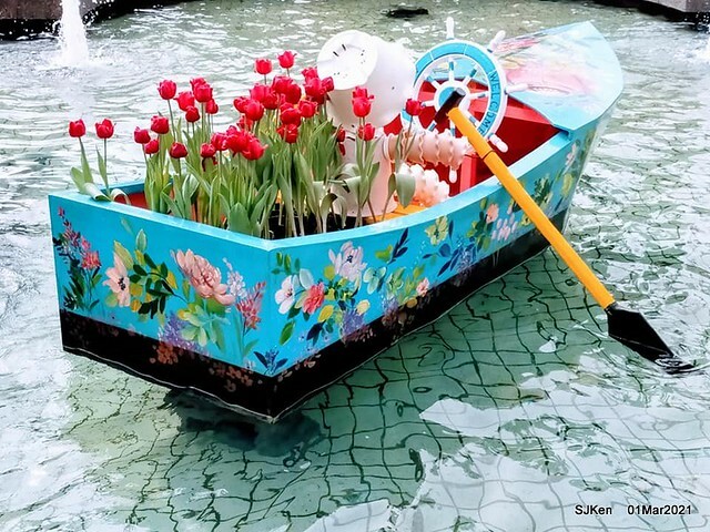 「2021士林官邸鬱金香展」(2021 Shilin Residence Tulip Show), Feb 25 ~ Mar 7, Taipei, Taiwan,SJKen, Mar 1,2021.