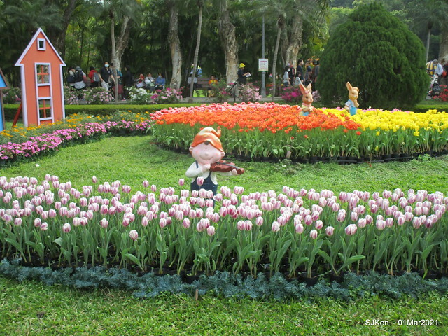 「2021士林官邸鬱金香展」(2021 Shilin Residence Tulip Show), Feb 25 ~ Mar 7, Taipei, Taiwan,SJKen, Mar 1,2021.