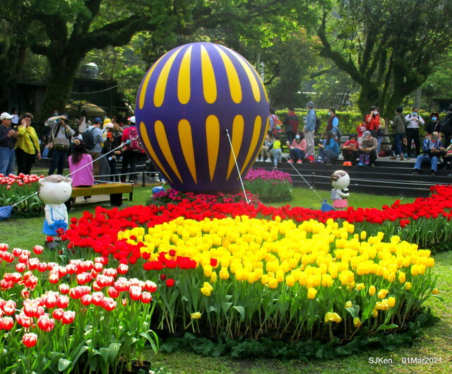 「2021士林官邸鬱金香展」(2021 Shilin Residence Tulip Show), Feb 25 ~ Mar 7, Taipei, Taiwan,SJKen, Mar 1,2021.