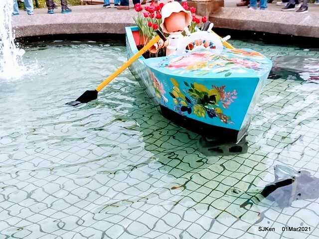 「2021士林官邸鬱金香展」(2021 Shilin Residence Tulip Show), Feb 25 ~ Mar 7, Taipei, Taiwan,SJKen, Mar 1,2021.