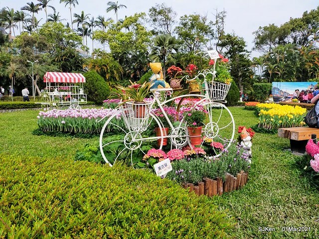 「2021士林官邸鬱金香展」(2021 Shilin Residence Tulip Show), Feb 25 ~ Mar 7, Taipei, Taiwan,SJKen, Mar 1,2021.