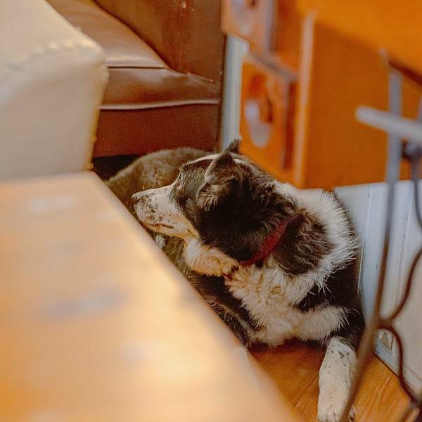 台中 北區 沐沐moon 任性-餐-酒-分享空間 7.JPG