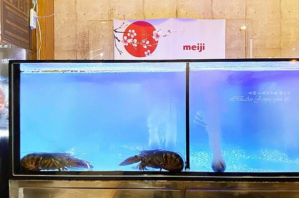 桃園火鍋吃到飽│山崎昆布鍋物-桃園美食推薦 (藝文特區美食)-08.JPG 桃園火鍋吃到飽│山崎昆布鍋物-桃園美食推薦 (藝文特區美食)-08.JPG