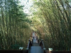 康久菓子工坊。超人氣古早味鹹蛋糕，每日現做肉鬆小貝，野上檸檬磅蛋糕，手工餅乾，台中麵包糕點推薦 - 🍎 蘋果話日常🍎