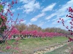康久菓子工坊。超人氣古早味鹹蛋糕，每日現做肉鬆小貝，野上檸檬磅蛋糕，手工餅乾，台中麵包糕點推薦 - 🍎 蘋果話日常🍎