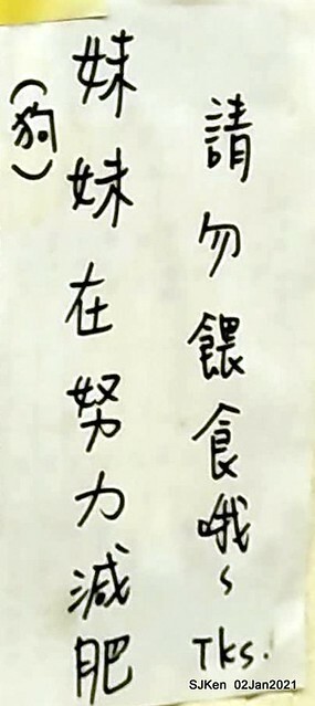 Fu-chen noodles & light dishes, 金山福建沙縣小吃，Kin-shen district, Hsinpei City, North Taiwan, Jan 2, 2021. SJKen.