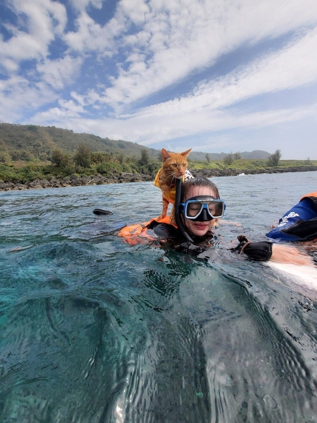 240312.jpg - 【屏東.墾丁】萬里桐浮淺。人類$350含裝備+寵物免費寵物必須會游泳。辛巴初次體驗浮淺 240312.jpg - 【屏東.墾丁】萬里桐浮淺。人類$350含裝備+寵物免費寵物必須會游泳。辛巴初次體驗浮淺