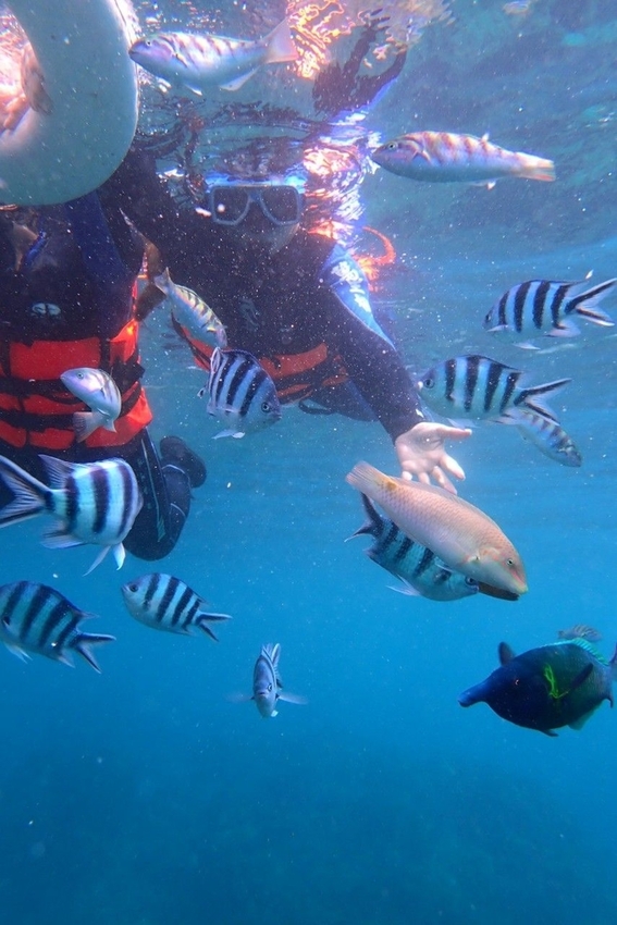 240307.jpg - 【屏東.墾丁】萬里桐浮淺。人類$350含裝備+寵物免費寵物必須會游泳。辛巴初次體驗浮淺 240307.jpg - 【屏東.墾丁】萬里桐浮淺。人類$350含裝備+寵物免費寵物必須會游泳。辛巴初次體驗浮淺